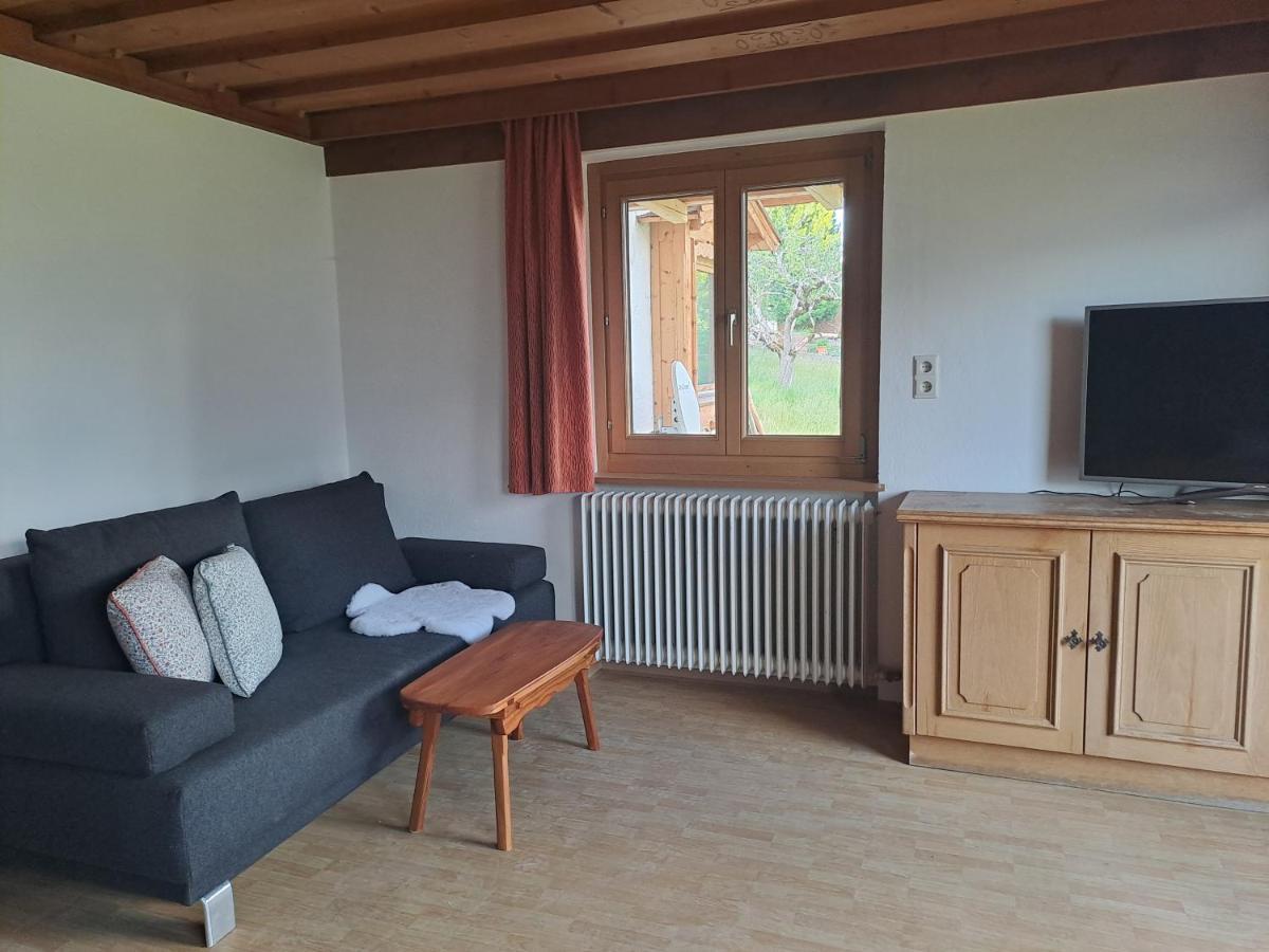 Apartment Mayerhofer - Erdgeschosswohnung Mittersill